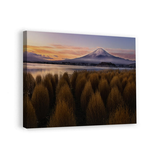 canvas