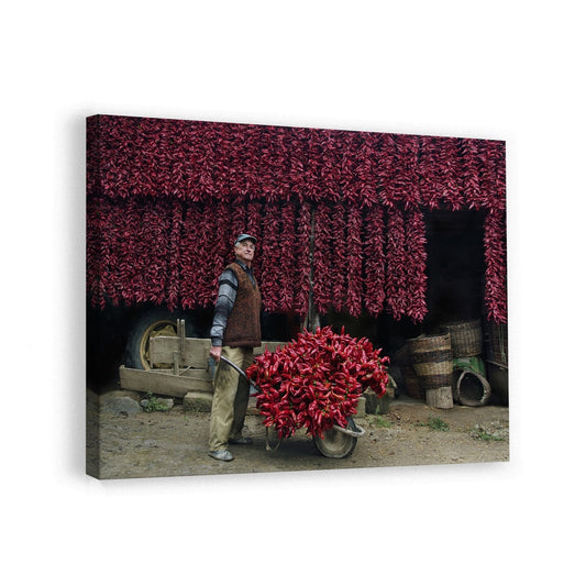 canvas