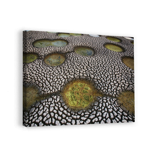 canvas