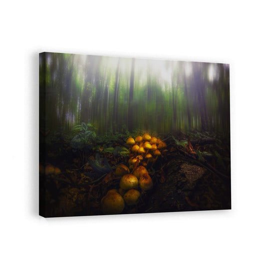 canvas