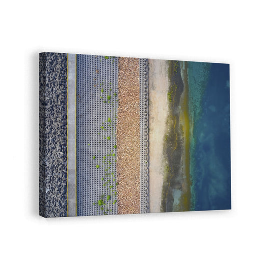 canvas