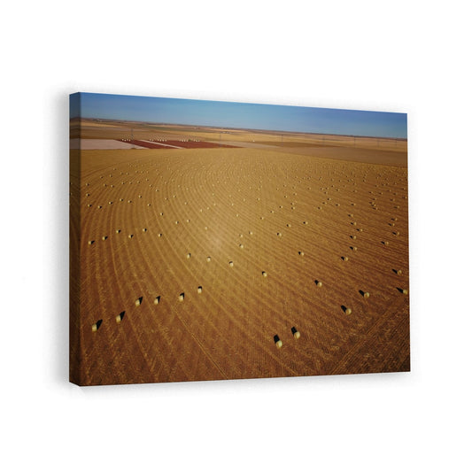 canvas