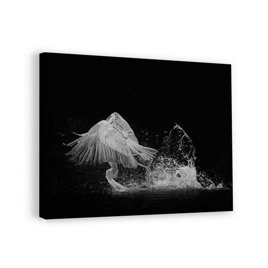 canvas