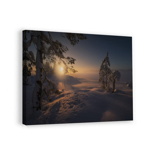 canvas