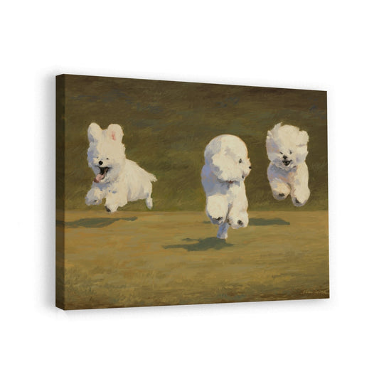 canvas