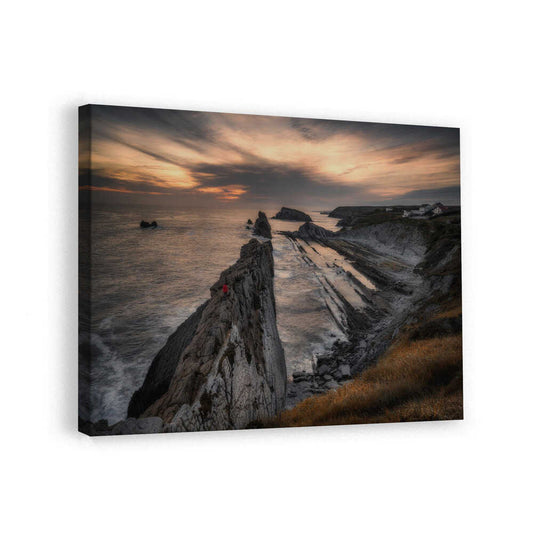 canvas