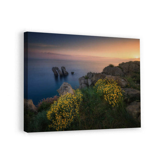 canvas