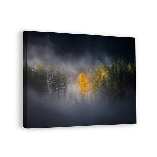 canvas