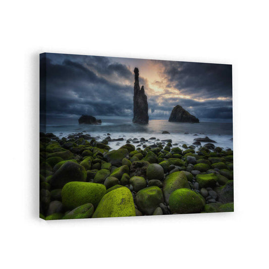 canvas