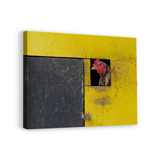 canvas