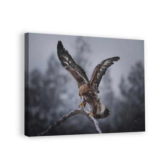 canvas