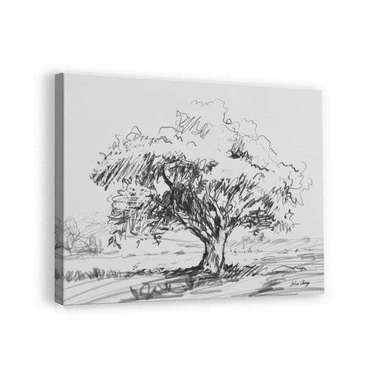 canvas