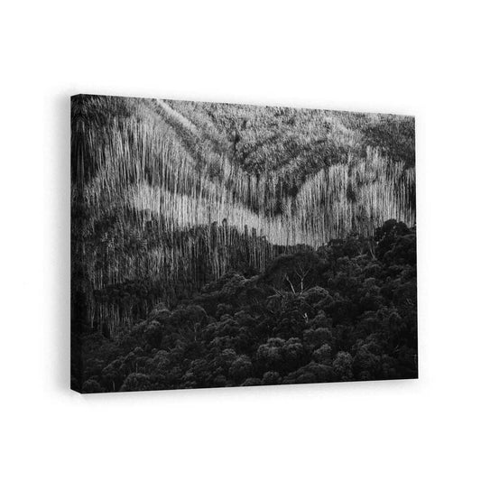 canvas