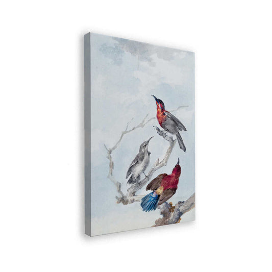 canvas