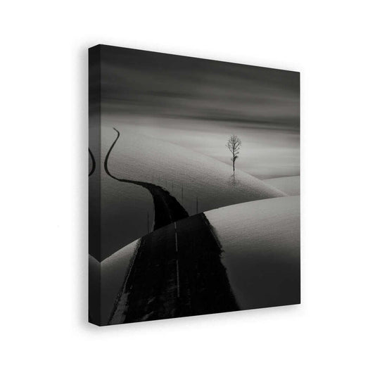 canvas