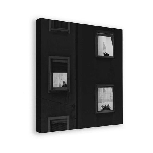 canvas