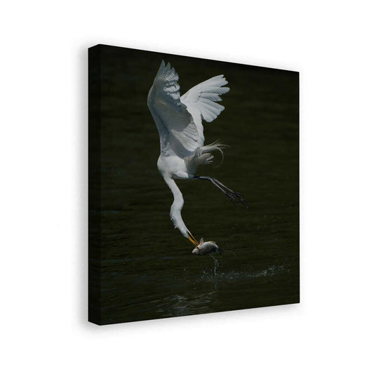 canvas