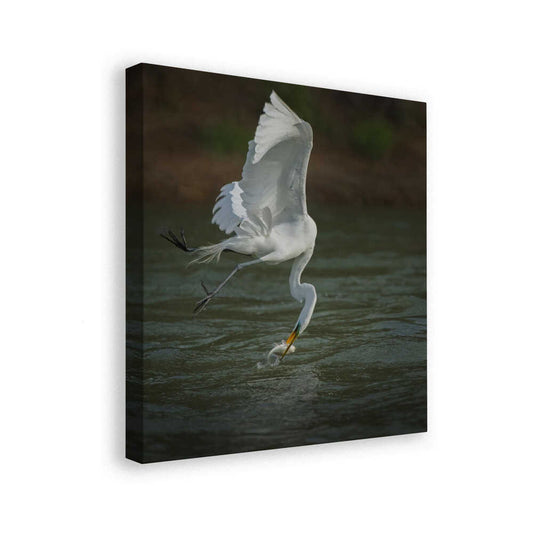 canvas