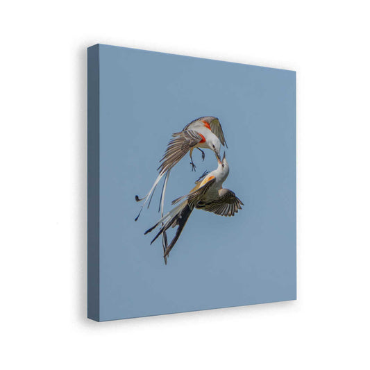 canvas