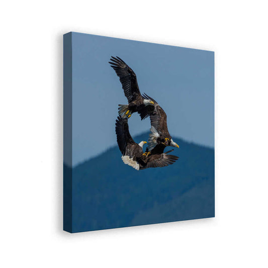 canvas