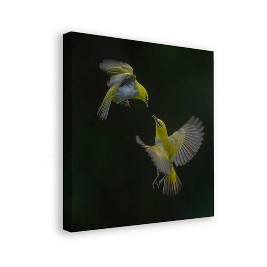 canvas