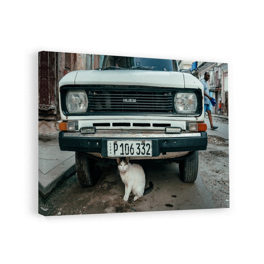 canvas