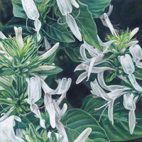 Botanical Greens