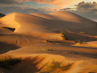 Desert & Arid