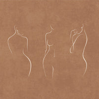 Drawing & Sketches