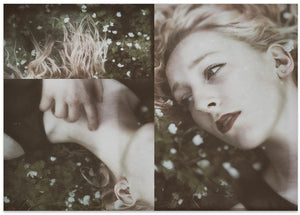 Dreamy Touch In Flowers