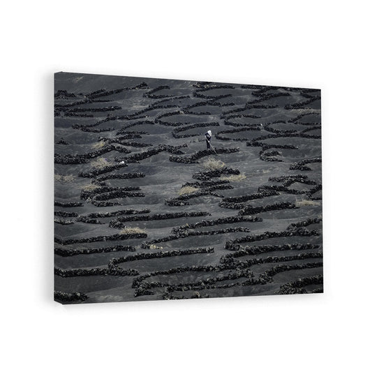 canvas