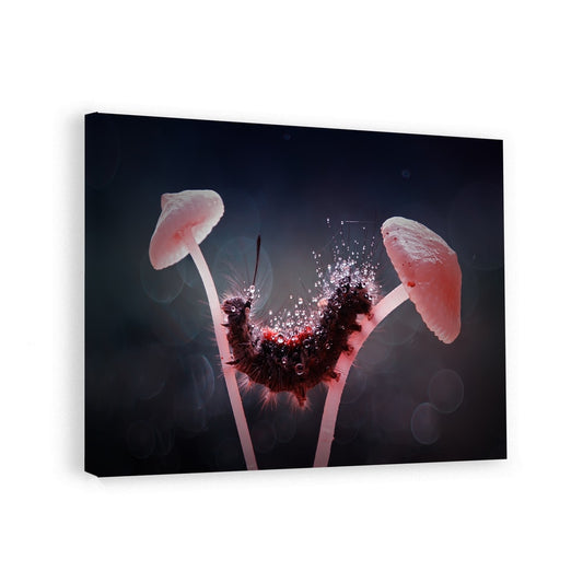 canvas