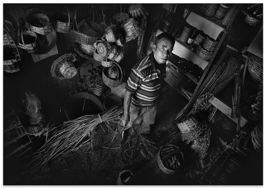 Basket Weaver's Gaze
