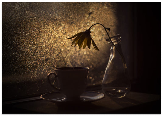 Golden Light Coffee Flower