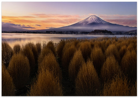 Mount Fuji Golden Sunrise