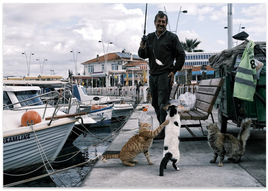 Happy Fisherman Hungry Cats