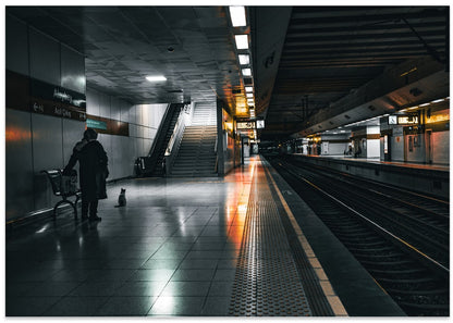 Subway Cat Reflection