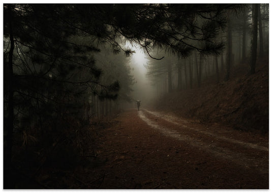 Misty Forest Path