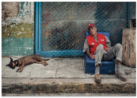 Quiet Street Companions