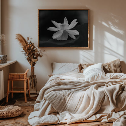 Serene Lotus Bloom