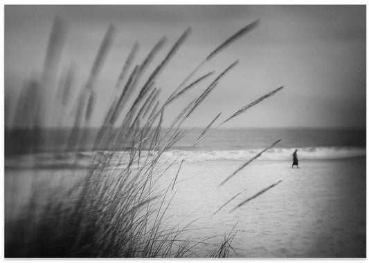 Coastal Solitude