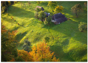 Golden Rural Landscape