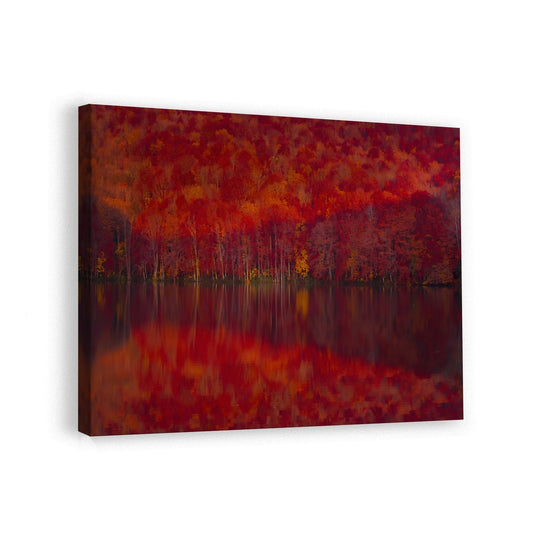 canvas