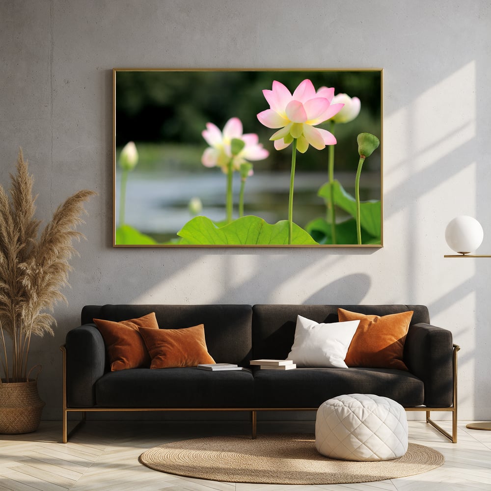 Blushing Pink Lotus Flowers — Sofa Landscape Mockup