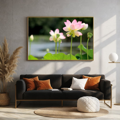 Blushing Pink Lotus Flowers — Sofa Landscape Mockup