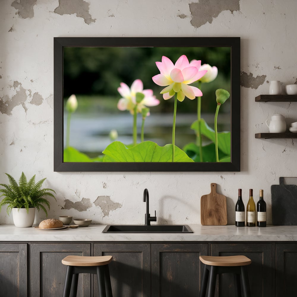 Blushing Pink Lotus Flowers — Kitchen Landscape Mockup