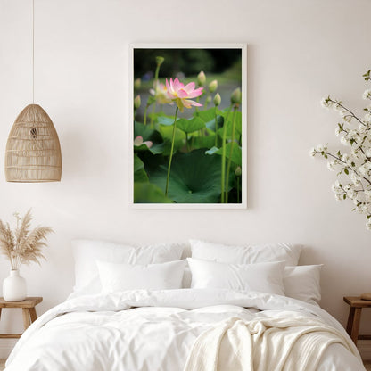 Soft Pink Lotus Above Green Leaves — White Bedroom Portrait