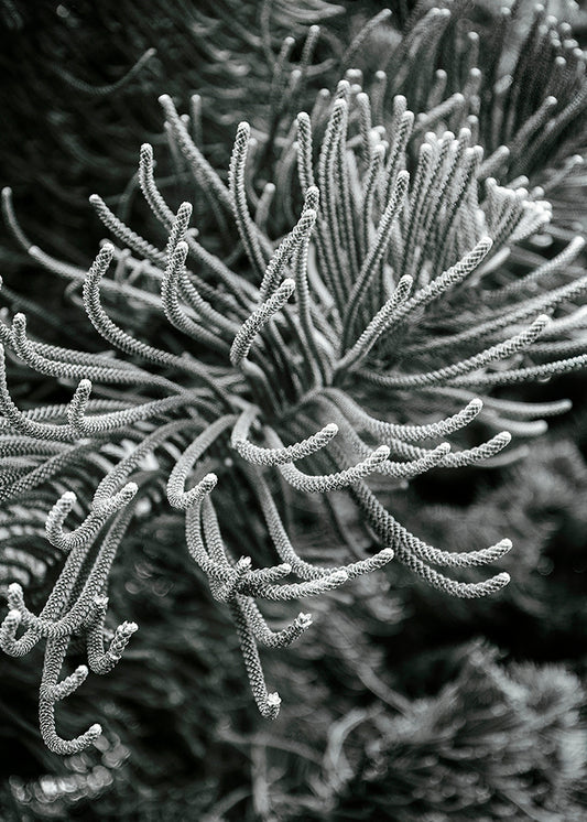 Silver Botanical Branches in Monochrome