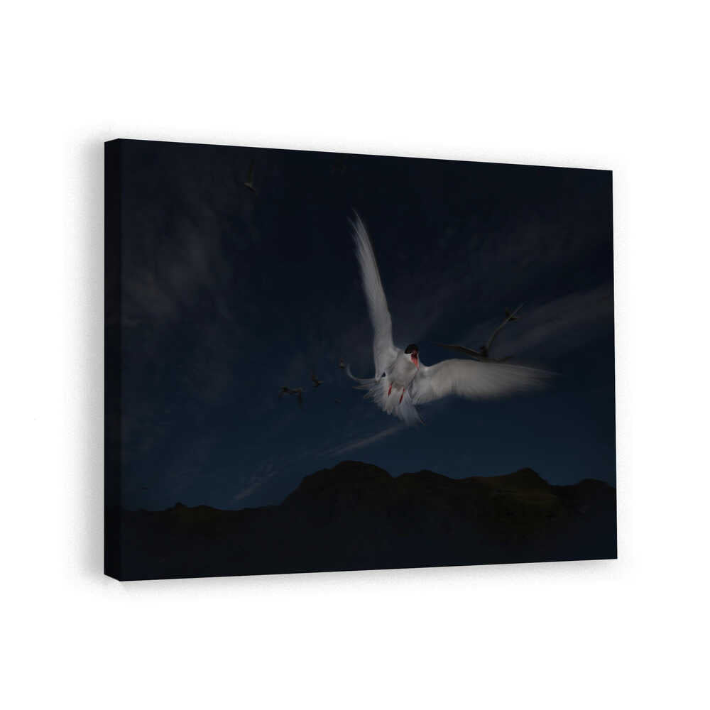 canvas