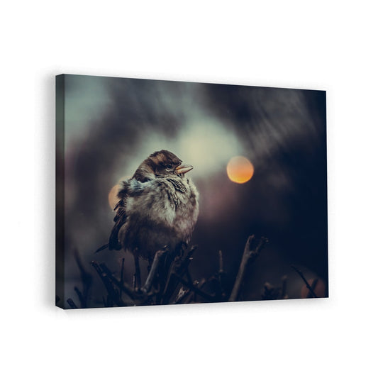 canvas